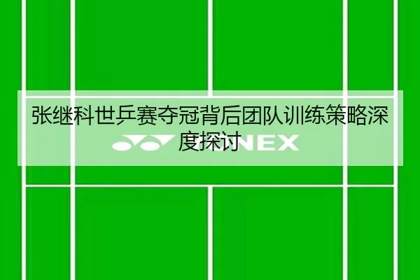 张继科世乒赛夺冠背后团队训练策略深度探讨