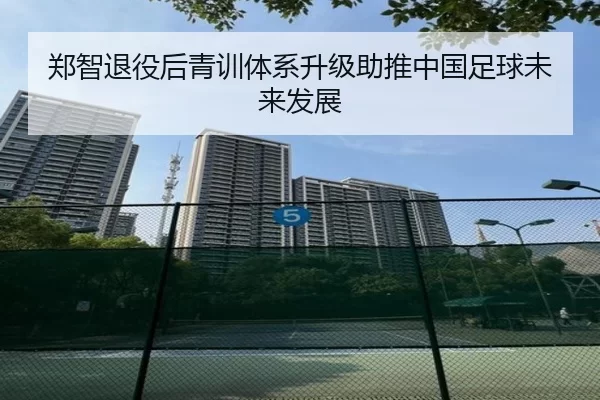 郑智退役后青训体系升级助推中国足球未来发展